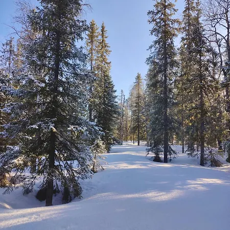 Viihy Kuusamo